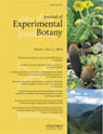 Journal of Experimental Biology January 2013 Cover