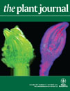 Plant Journal 2011