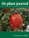 The Plant Journal March 2014 Cover