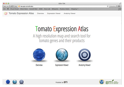 Tomato Expression Atlas