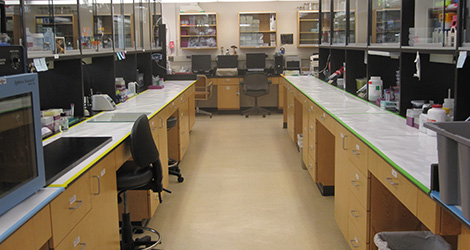 A Tour of the Rose Lab