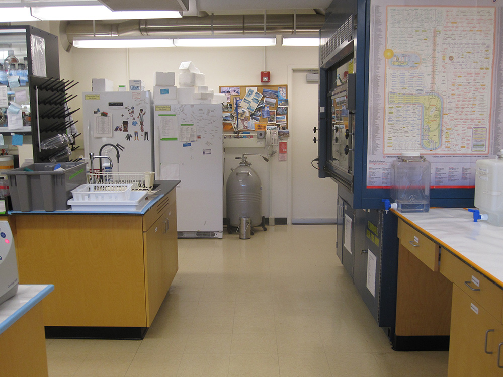 Lab Tour