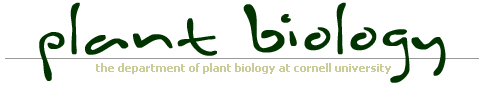 Cornell Plant Biology Logo